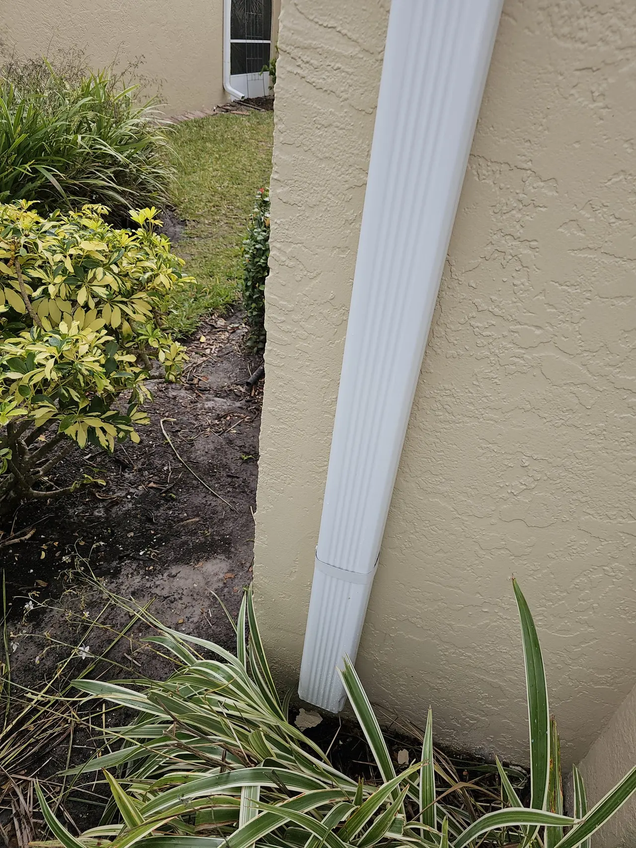 White downspout on a tan stucco wall with landscaping